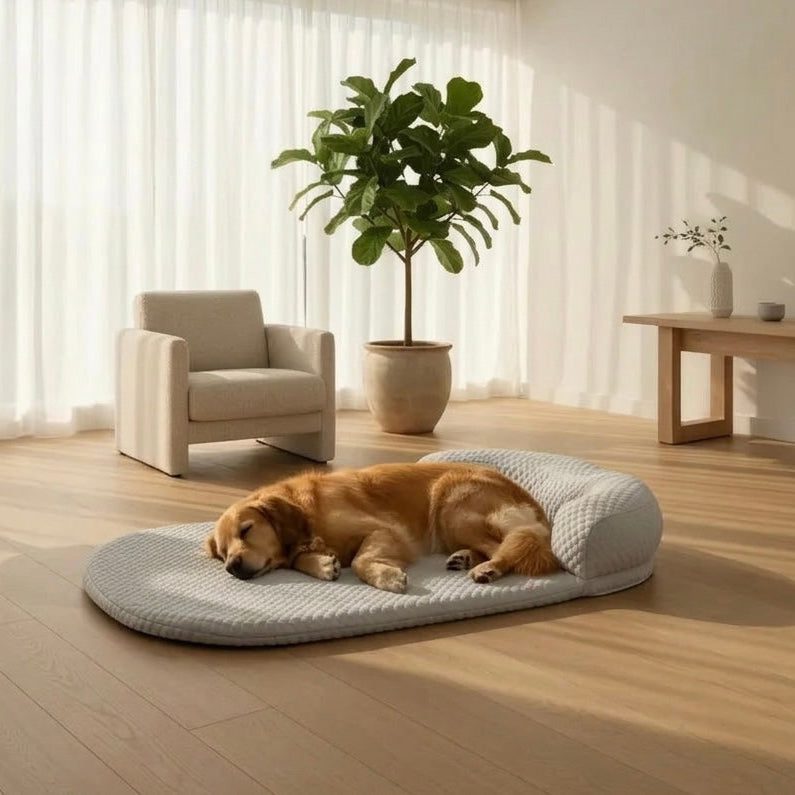 Orthopedic cooling dog bed with gel foam by BROKLEN