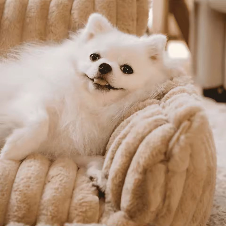 Orthopedic dog bed with elevated headrest – view 6