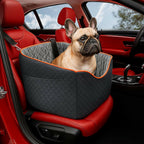 Elevated dog booster car seat with safety belt – view 2