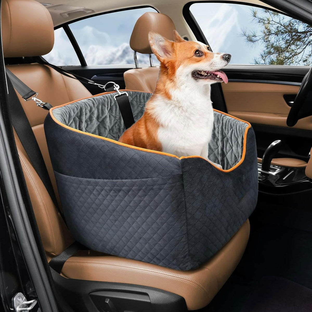 Elevated dog booster car seat with safety belt – view 3