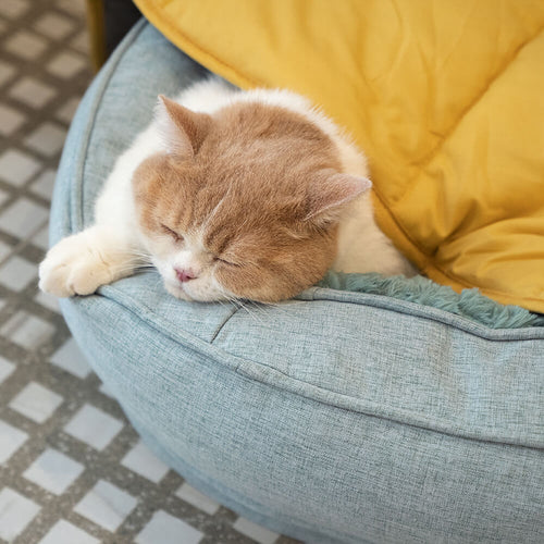 Orthopedic dog bed with removable washable cover – view 2