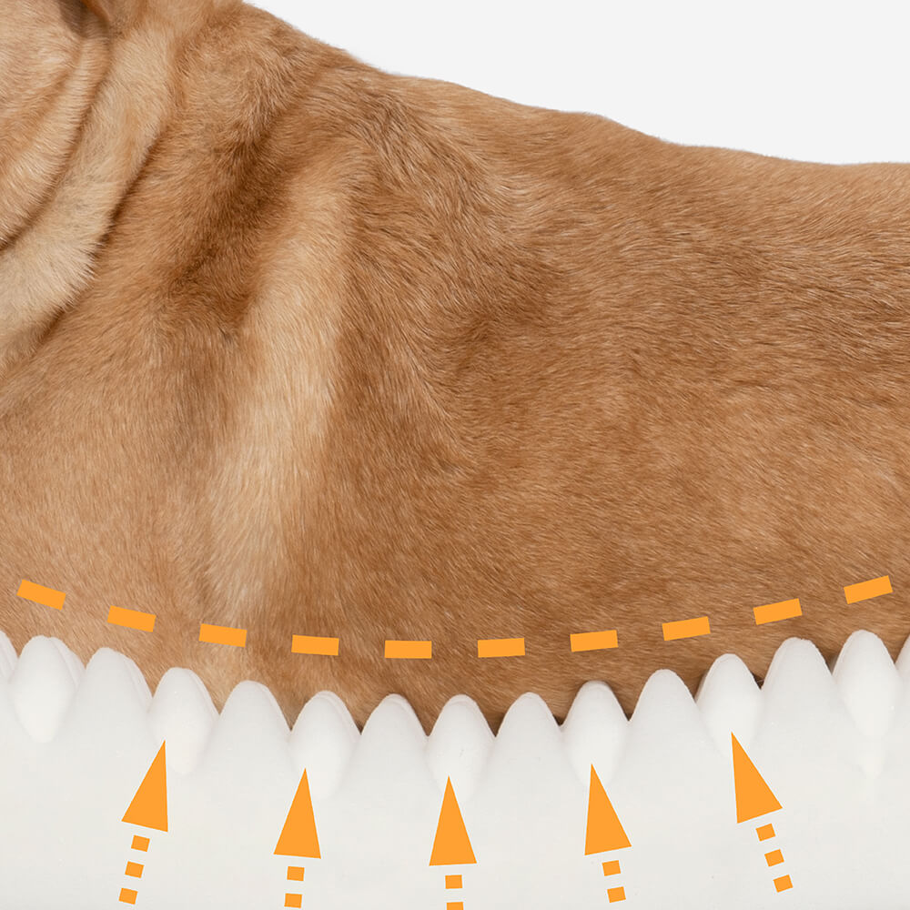 Orthopedic dog bed with removable washable cover – view 3